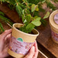Hände halten eine kleine Topfpflanze mit leuchtend grünen Blättern. Der braune Topf aus dem „Anzuchtset | Lebkuchenbaum aus dem Becher“ von TDJ Stadtgärtner GmbH ist mit einem rosa Etikett versehen, auf dem „Dein Lebkuchenbaum“ steht und das mit Blattmotiven verziert ist. Auf einer Holzunterlage platziert, mit immergrünen Zweigen im Hintergrund, ist dies eine ideale Geschenkidee für Pflanzenfreunde.