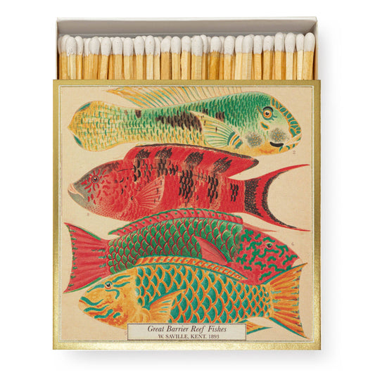 Archivist | 'Fisch' Quadratische Sicherheitsstreichhölzer von Archivist Gallery: Die Schachtel ziert ein buntes Vintage-Motiv "Great Barrier Reef Fishes, W. Saville Kent, 1893"-ein außergewöhnliches Geschenk für Sammler.