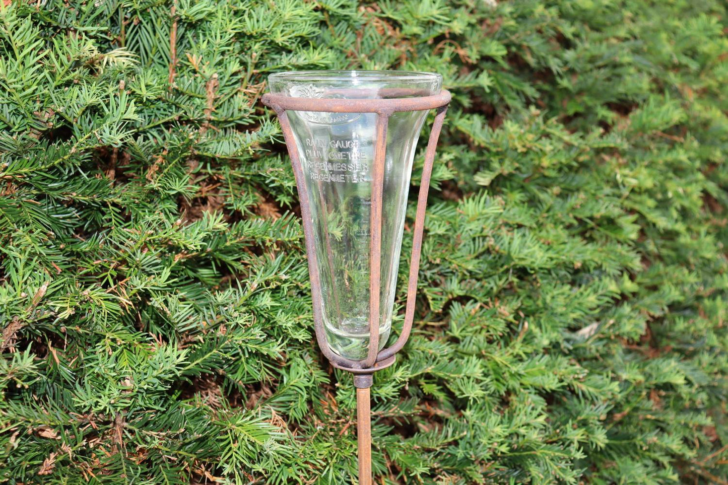 Das Hirsch Regenmesser auf Stab aus Metall in Rost wird von einem robusten Gestell aufrecht gehalten und setzt einen stilvollen Gartendeko-Akzent im dichten Grün der Sträucher.