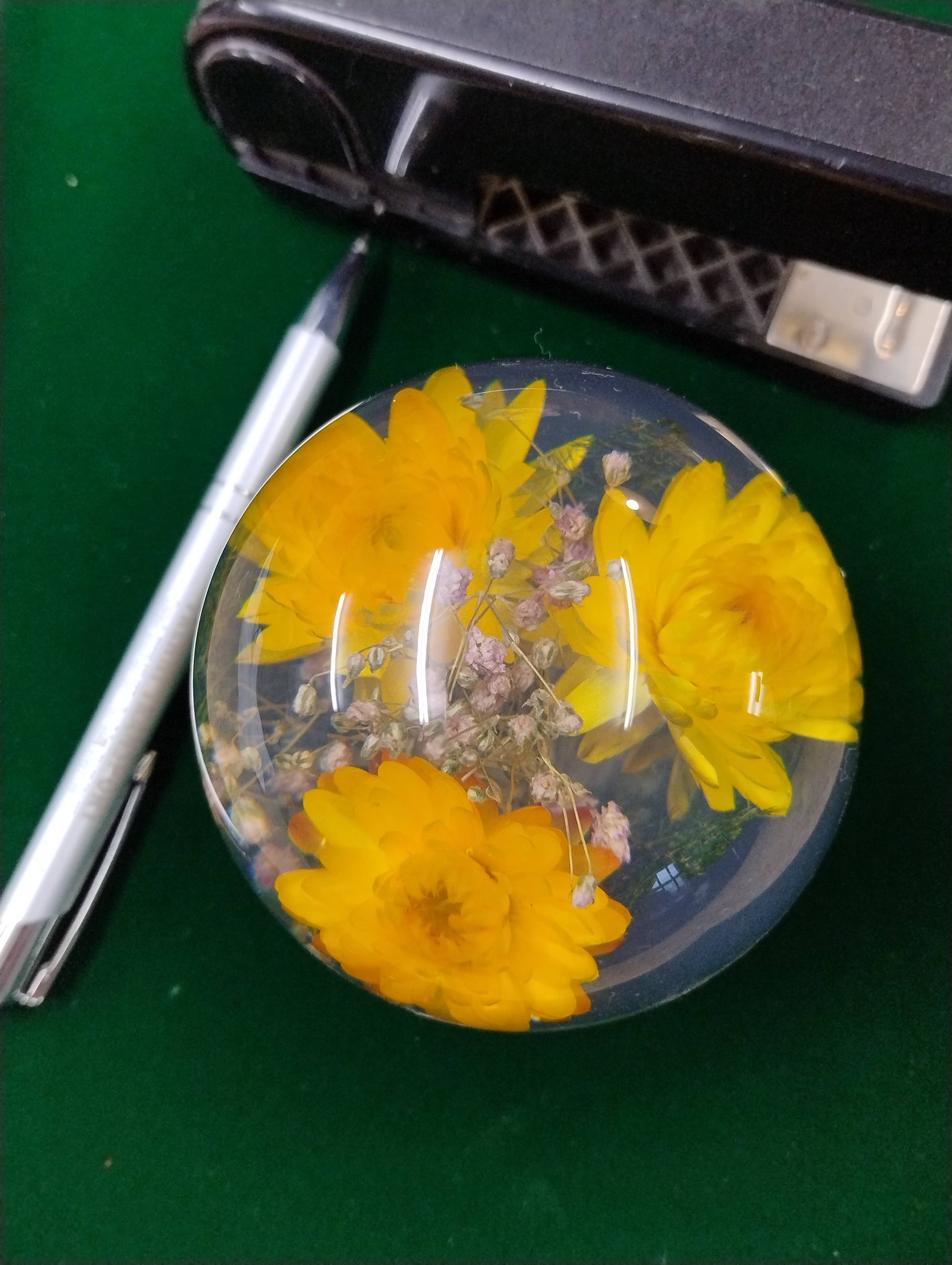 Der Hafod Grange | Briefbeschwerer mit Gelber Helichrysum von Hafod Grange zeigt gelbe Helichrysum-Blüten und kleine violette Akzente im Inneren-ein schönes Geschenk für Blumenliebhaber.