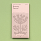 Eine rosafarbene Piccolo Seeds-Packung mit der Aufschrift "Fenchelbronze" zeigt eine gepunktete Illustration der Gewürzpflanze, listet 150 Fenchelsamen auf und steht auf einem hellgrünen Hintergrund.