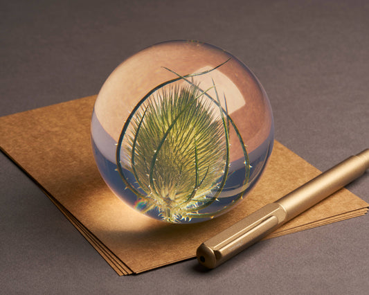 Der Hafod Grange | Briefbeschwerer mit Karde von Hafod Grange liegt auf braunen Umschlägen neben einem goldenen Stift - stilvolle Schreibtischdeko auf neutraler Oberfläche.