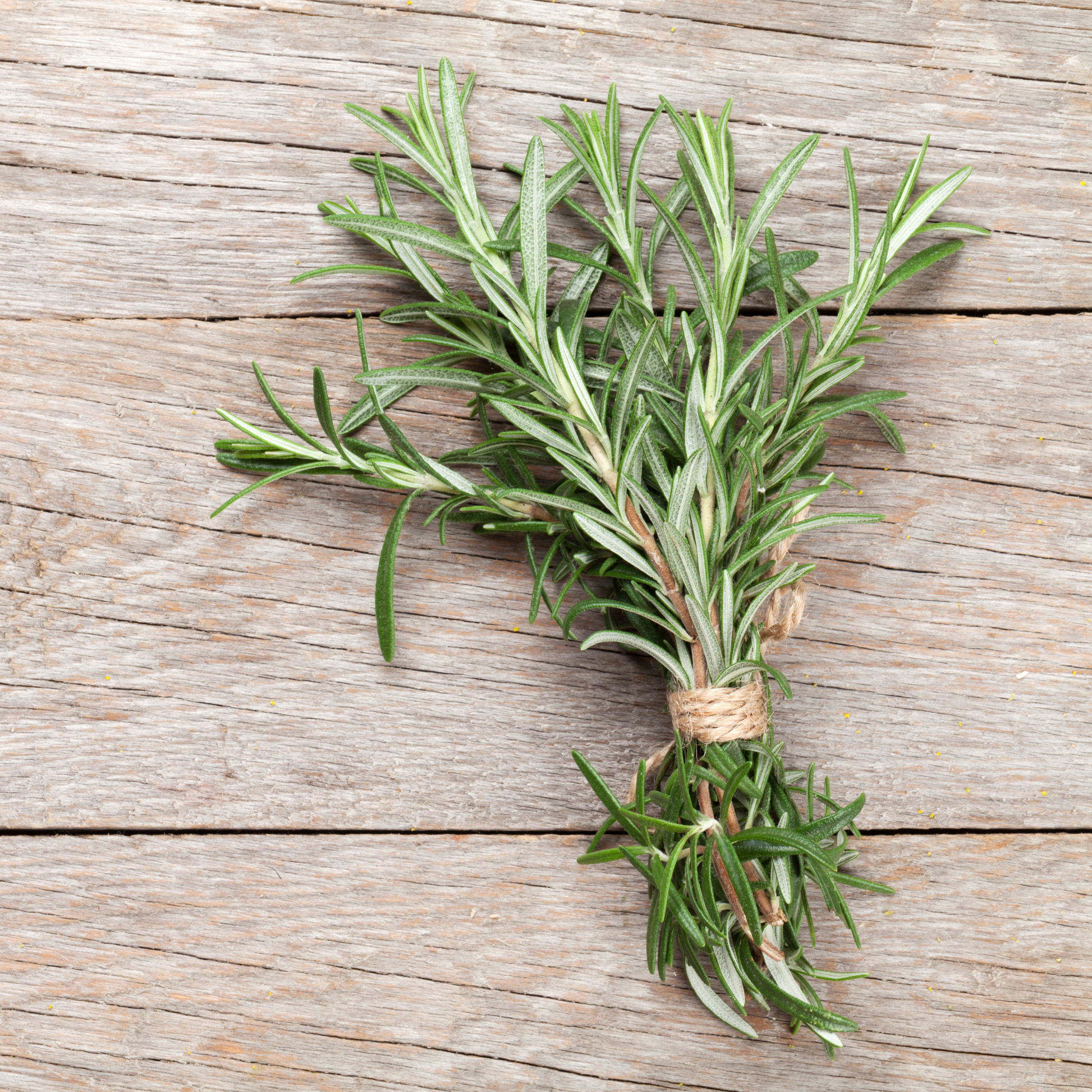 Ein kleines Bündel von Piccolo Seeds | Rosmarin Common Zweige, aus der mediterranen Kräuterfamilie von Piccolo Seeds, mit Bindfaden auf einer rustikalen Holzunterlage gebunden.