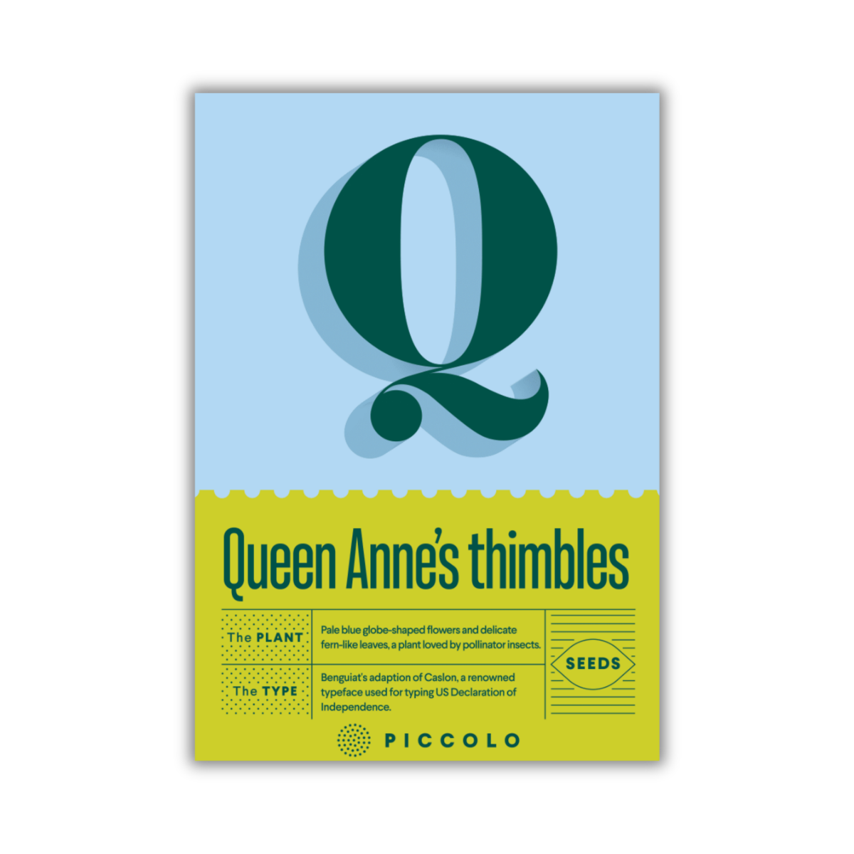 Die Saatgutpackung von Piccolo Seeds zeigt ein großes grünes Q über "Queen Anne's Thimbles" auf einem blaugrünen Hintergrund, mit Details über die Kopfige Gilie (Gilia capitata), die für ihre hellblauen Blüten und ihre bestäuberfreundlichen Eigenschaften bekannt ist. Markenlogo unten.