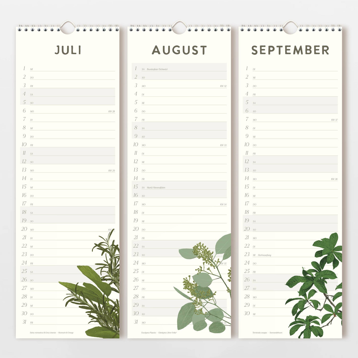 Der Wildblumen Atelier Wandkalender 2026 bietet drei vertikale Seiten für die Monate Juli bis September, jeweils mit Datumsspalten und handgezeichneten Blumen am unteren Rand. Gedruckt auf FSC-zertifiziertem Naturpapier für einen sauberen, minimalistischen Look.
