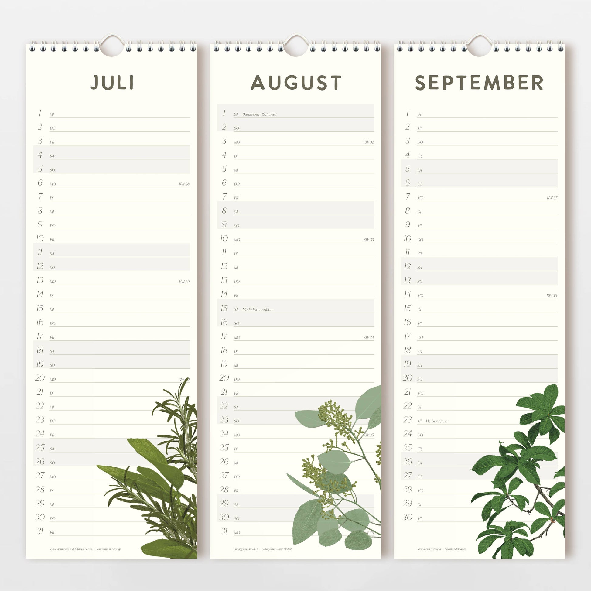Der Wildblumen Atelier Wandkalender 2026 bietet drei vertikale Seiten für die Monate Juli bis September, jeweils mit Datumsspalten und handgezeichneten Blumen am unteren Rand. Gedruckt auf FSC-zertifiziertem Naturpapier für einen sauberen, minimalistischen Look.