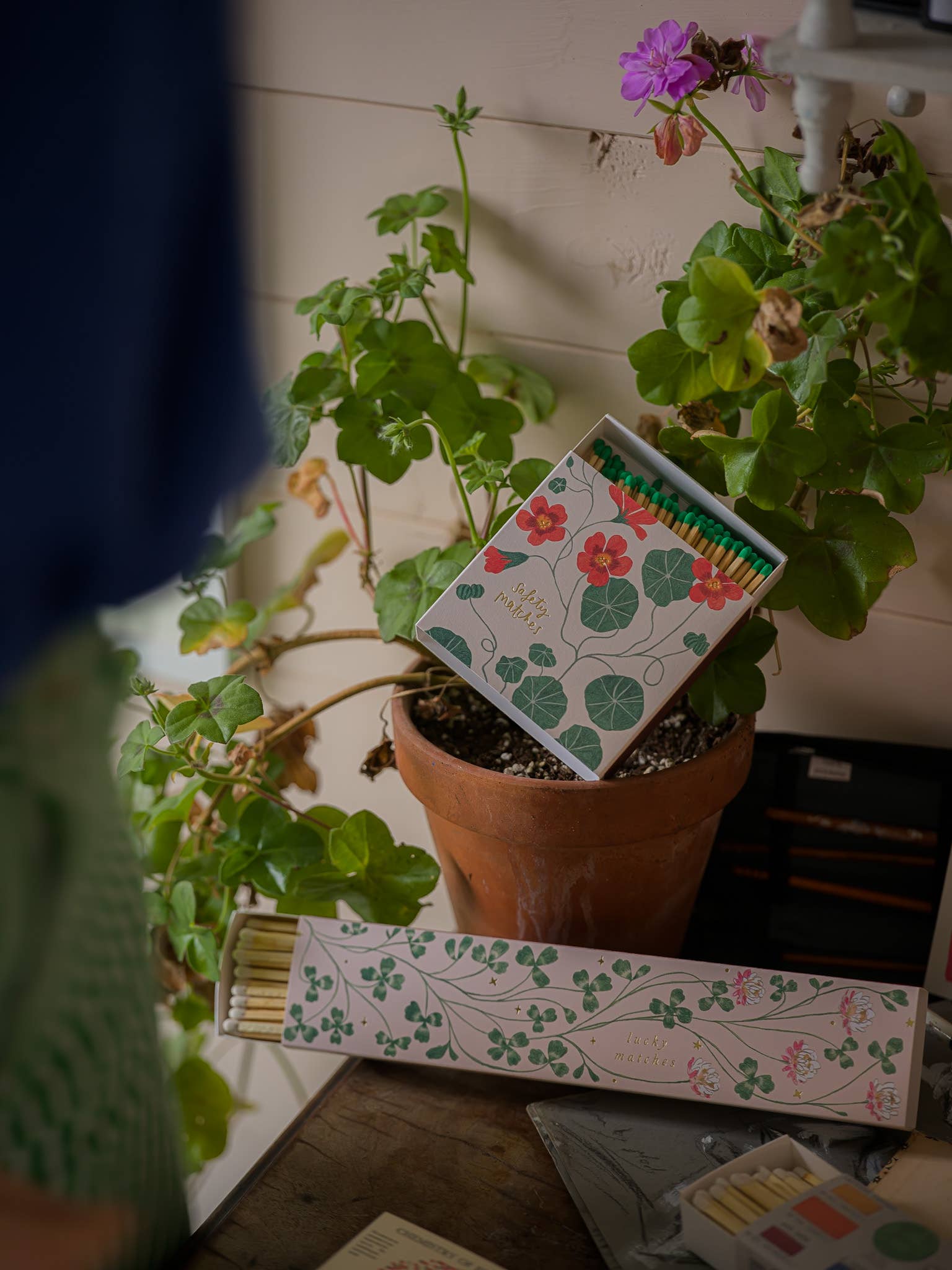 Eine Topfpflanze mit grünen Blättern und rosa Blüten steht auf einer Holzfläche. Daneben liegt der "Glücksklee" Lange Streichhölzer von Archivist Gallery, daneben Buntstifte - ein ideales Geschenk für jede Gelegenheit.