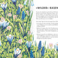 Illustration einer Wildblumenwiese mit hohem Gras, weißen Krokussen, blauen Traubenhyazinthen und Hinweisen auf Deutsch aus "Pflanzen für Honigbienen | Wie Sie Ihren Garten zum Summen bringen" vom Gerstenberg Verlag zur Anlockung von Bienen.