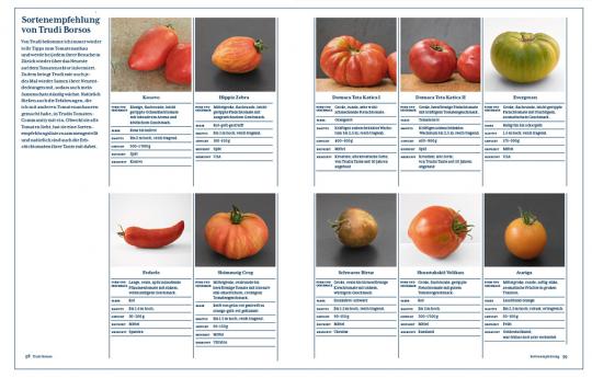 Eine Katalogseite für "Tomatenlust | Die Geheimnisse der Tomatenpioniere" (Haupt Verlag) präsentiert acht Tomatensorten mit Fotos, deutschen Beschreibungen von Namen, Formen, Farben sowie Tipps zu Anbau und Pflege.