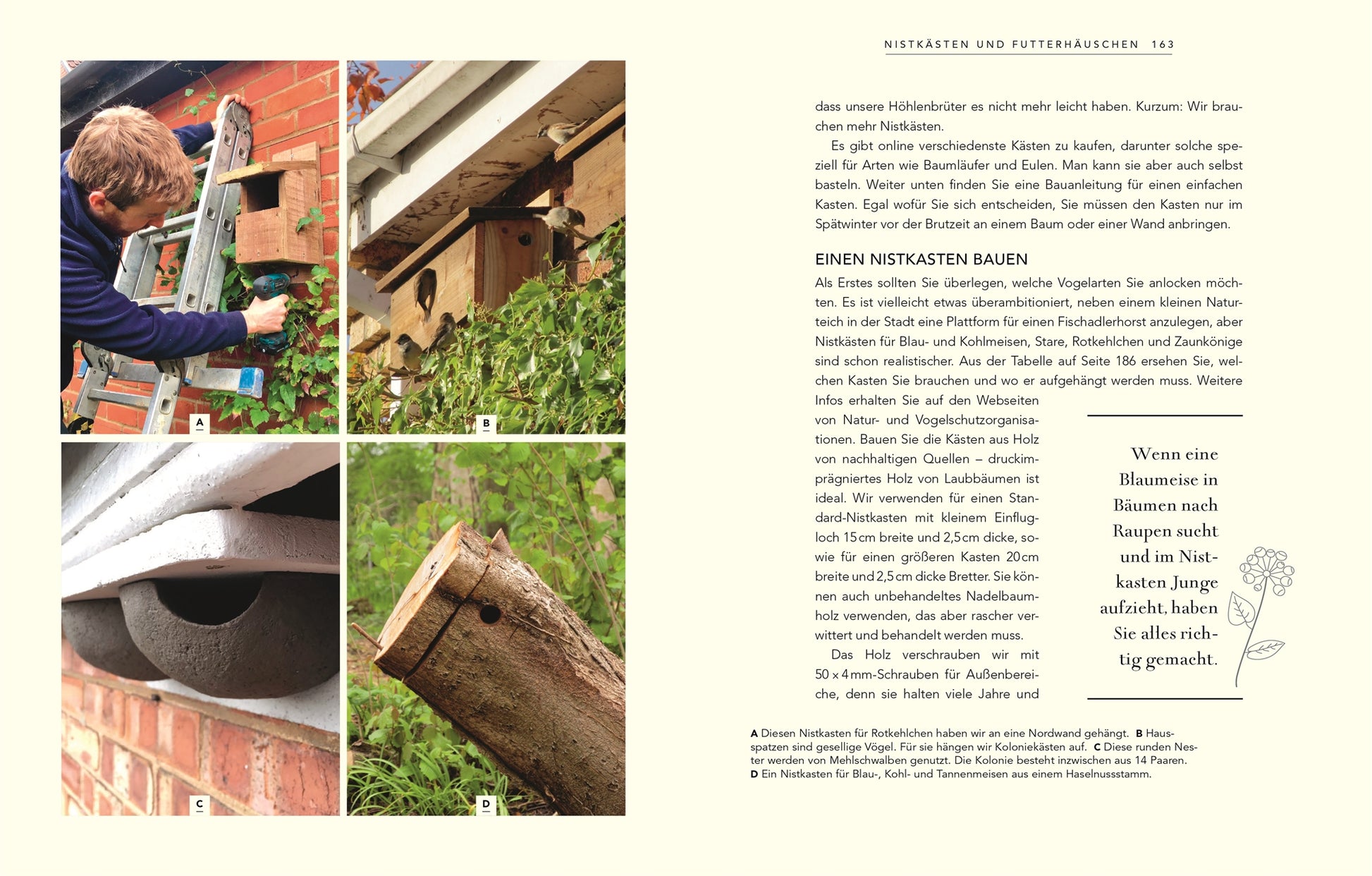 Eine Fotocollage zeigt verschiedene Nistkästen in natürlicher Umgebung und illustriert "Wildnis im Garten | Natürlich schön statt künstlich angelegt!" aus dem DK Verlag. Der deutsche Text ist rechts abgebildet.