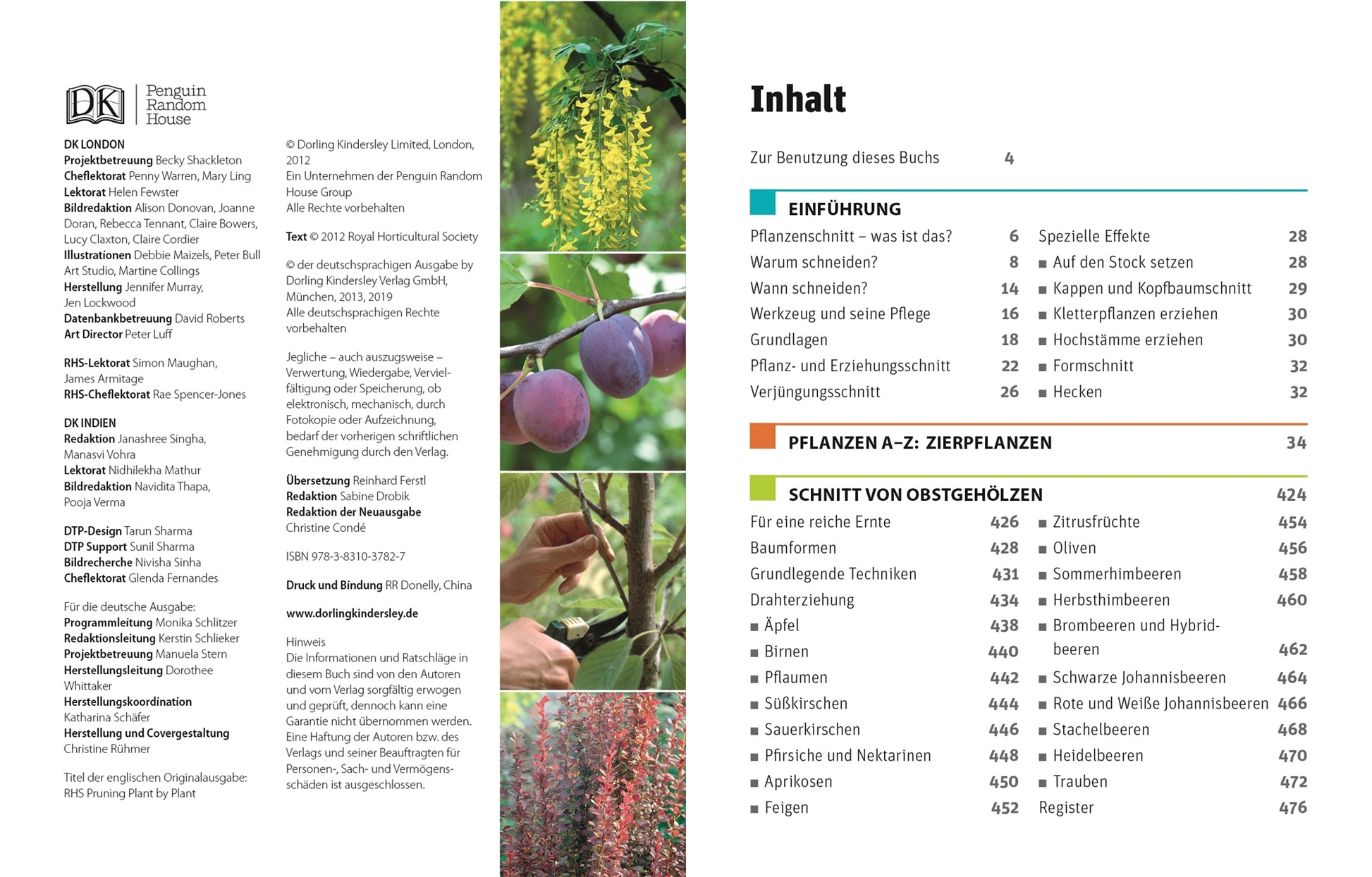 Das Inhaltsverzeichnis von "Gartenwissen Pflanzenschnitt" aus dem DK Verlag zeigt auf der linken Seite den Verlag und auf der rechten Seite die Kapitelüberschriften der Gartenpflanzen mit Seitenzahlen und Naturfotos: gelbe Blüten, lila Pflaumen, Baumschnitt, rote Blätter.