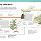 Das Buch "Gartenwissen Pflanzenschnitt" aus dem DK Verlag zeigt Diagramme, Schnittanleitungen und Tipps zum Bestimmen und Schneiden von 195 Zierpflanzen und 19 Obstbäumen, mit detaillierten, beschrifteten Zeichnungen in deutscher Sprache.
