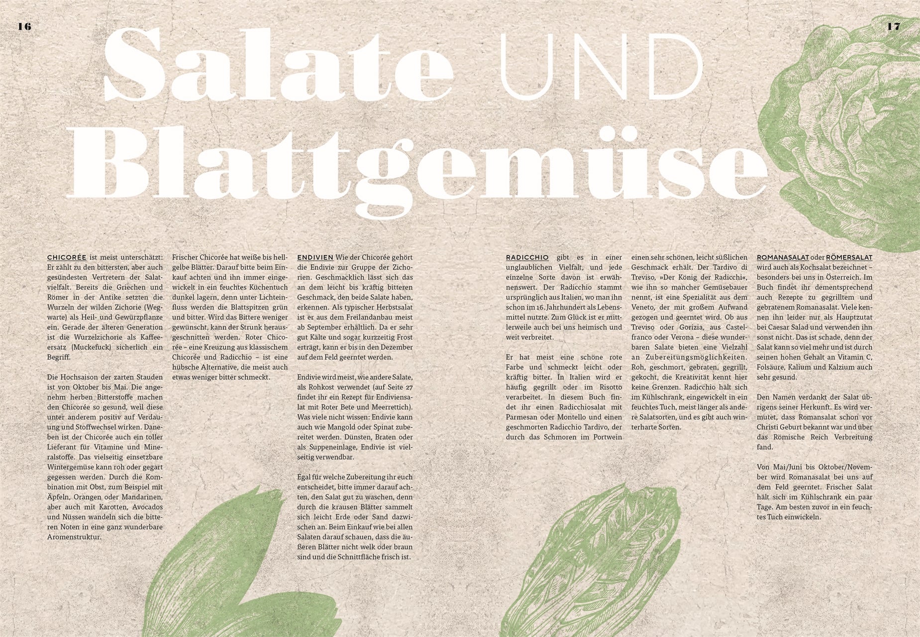 Eine Magazinseite mit dem Titel "Salate und Blattgemüse" in großen weißen Lettern zeigt einen beigen Hintergrund mit grünen Illustrationen und deutschem Text. Sie ist inspiriert von "Vegetarisch | Meisterwerk der vegetarischen Küche" des DK Verlags.