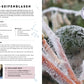 Eine gefrorene Seifenblase mit detaillierten Eiskristallmustern auf frostigem Gras. Links zeigt ein deutsches Rezept aus "1000 Stunden draussen" des DK Verlags, wie man Eis-Seifenblasen macht - ideal für gemeinsame Naturerlebnisse.