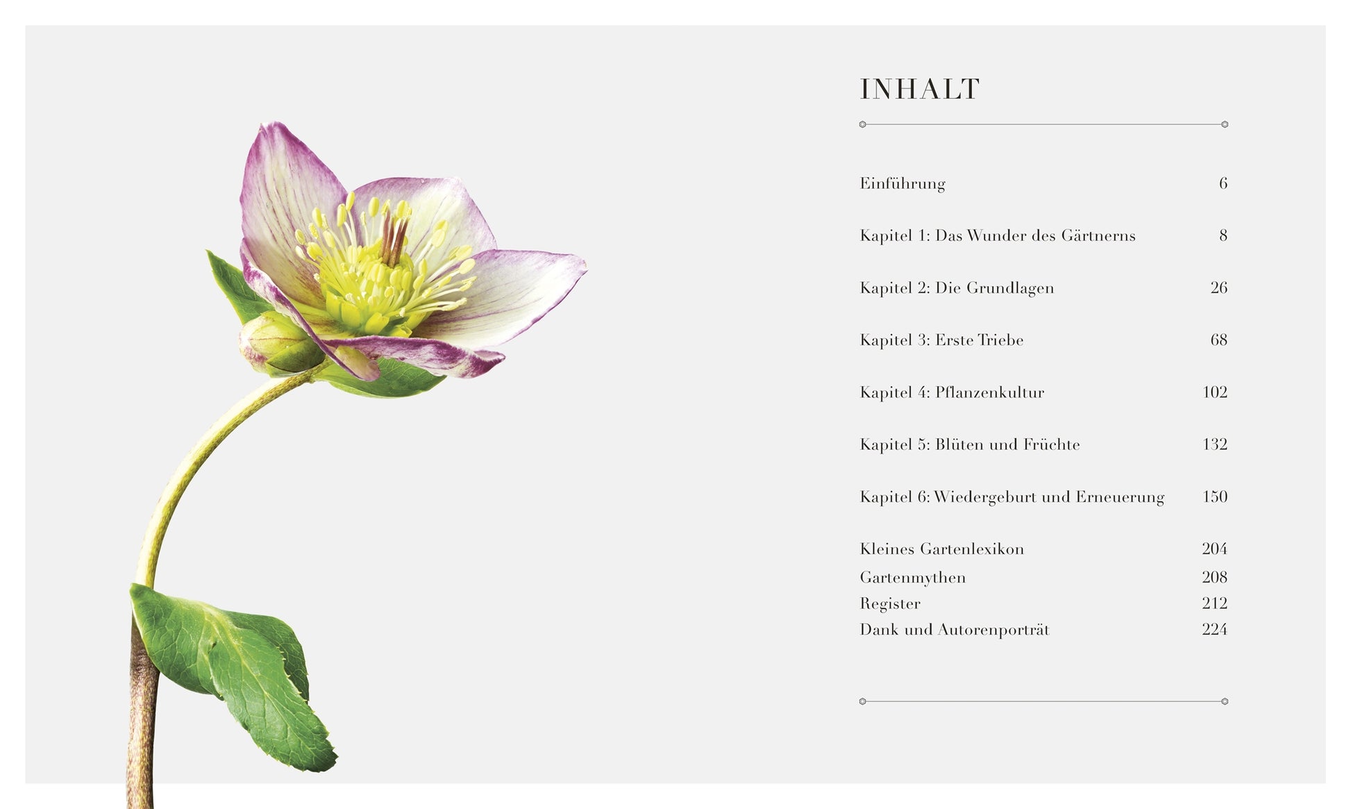 Links eine hellviolett-weiße Blume mit grünen Blättern, rechts ein deutsches Gartenbuch-Inhaltsverzeichnis mit Kapitelüberschriften und Seitenzahlen auf hellgrauem Grund aus "100 Fragen und Antworten zum Gärtnern" vom DK Verlag.