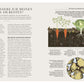 Ein zweiseitiger Artikel mit dem Titel "Wie verbessere ich meinen Boden am besten?" aus dem Buch "100 Fragen und Antworten zum Gärtnern" des DK Verlags erklärt die Bodenverbesserung mit einer illustrierten Darstellung von Wurzeln, Bodenschichten, Organismen und Pflanzenwachstum.
