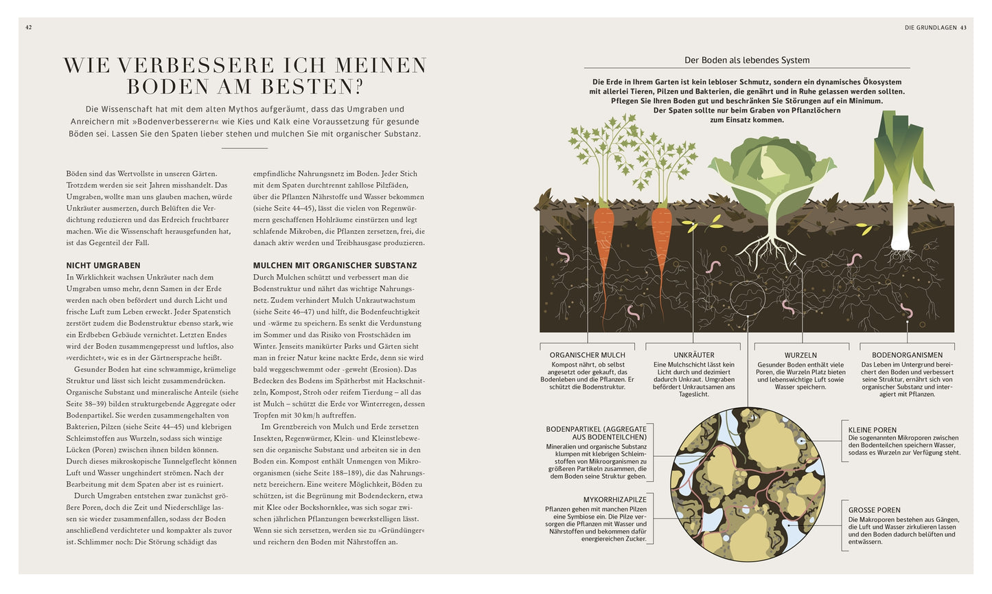 Ein zweiseitiger Artikel mit dem Titel "Wie verbessere ich meinen Boden am besten?" aus dem Buch "100 Fragen und Antworten zum Gärtnern" des DK Verlags erklärt die Bodenverbesserung mit einer illustrierten Darstellung von Wurzeln, Bodenschichten, Organismen und Pflanzenwachstum.