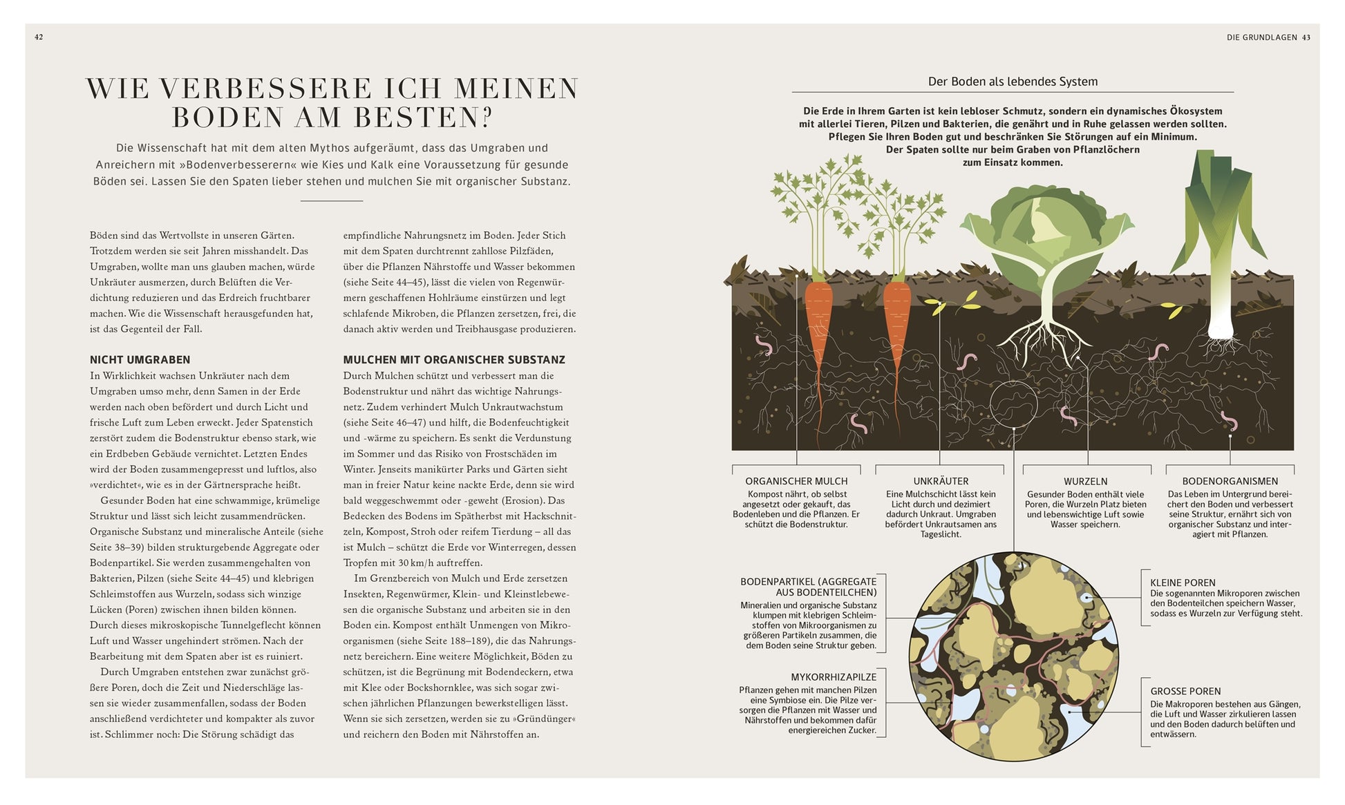Ein zweiseitiger Artikel mit dem Titel "Wie verbessere ich meinen Boden am besten?" aus dem Buch "100 Fragen und Antworten zum Gärtnern" des DK Verlags erklärt die Bodenverbesserung mit einer illustrierten Darstellung von Wurzeln, Bodenschichten, Organismen und Pflanzenwachstum.