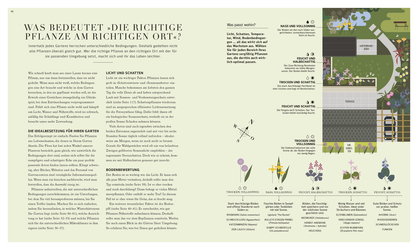 Das Buch "100 Fragen und Antworten zum Gärtnern | leicht verständlich beantwortet" aus dem DK Verlag ist ein zweiseitiger Ratgeber mit praktischem Gartenwissen, Gartenplänen, Pflanzensymbolen und einem Sonnen-Schatten-Diagramm, das bei der Auswahl geeigneter Pflanzen für jeden Standort hilft.