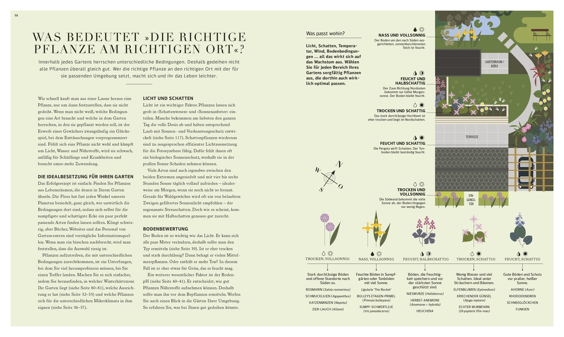 Das Buch "100 Fragen und Antworten zum Gärtnern | leicht verständlich beantwortet" aus dem DK Verlag ist ein zweiseitiger Ratgeber mit praktischem Gartenwissen, Gartenplänen, Pflanzensymbolen und einem Sonnen-Schatten-Diagramm, das bei der Auswahl geeigneter Pflanzen für jeden Standort hilft.