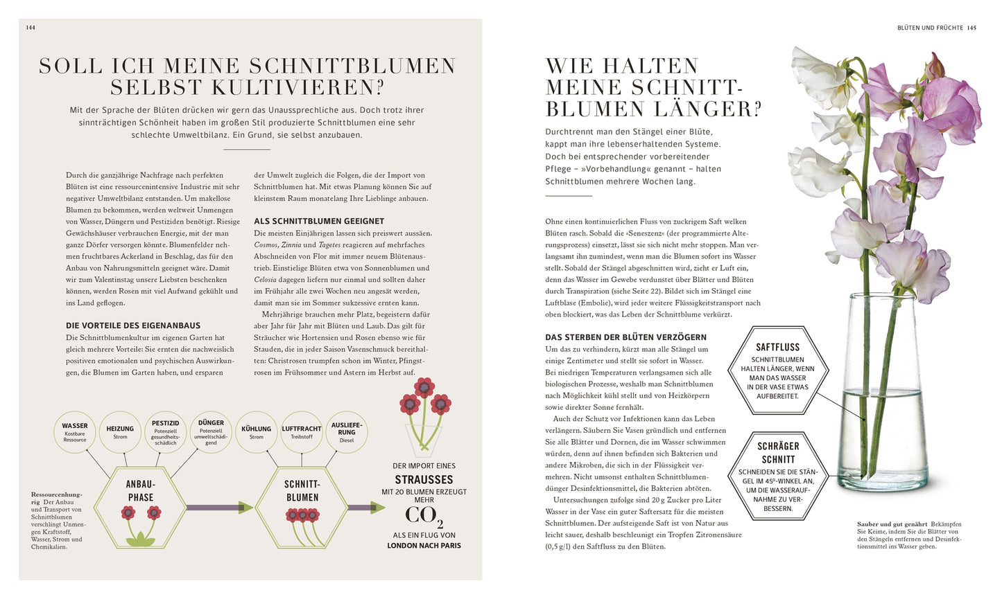 In einer deutschen Zeitschrift wird das Buch "100 Fragen und Antworten zum Gärtnern | leicht verständlich beantwortet" des DK Verlags mit Tipps, Diagrammen und einer Vase mit rosa und weißen Erbsen zur Veranschaulichung der Schnittblumenpflege vorgestellt.