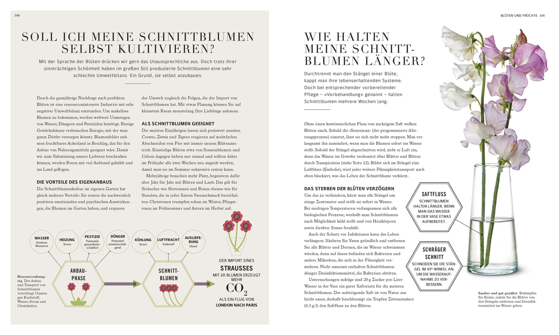 In einer deutschen Zeitschrift wird das Buch "100 Fragen und Antworten zum Gärtnern | leicht verständlich beantwortet" des DK Verlags mit Tipps, Diagrammen und einer Vase mit rosa und weißen Erbsen zur Veranschaulichung der Schnittblumenpflege vorgestellt.