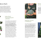 Das Gemüsekisten Kochbuch von DK Verlag zeigt deutsche Texte, Gemüse-Illustrationen und Fotos mit frischem Obst und Gemüse-die ideale Inspiration für nachhaltiges Kochen und kreative Rezepte.