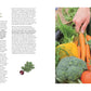 Eine Person hält einen Weidenkorb voller frischer Möhren, Tomaten, gelber Paprika, Zucchini und Gurken - ideal für Rezepte aus "Das Gemüsekisten Kochbuch" vom DK Verlag, perfekt für Gemüserezepte und saisonale Küche.