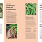 Eine Magazinseite aus Das Gemüsekisten Kochbuch (DK Verlag) zeigt Gemüserezepte und nachhaltige Kochtipps mit Bohnen, Beeren, Brokkolistielen & Karottengrün - inklusive Fotos von Garten-Ernte. Texte auf Deutsch.