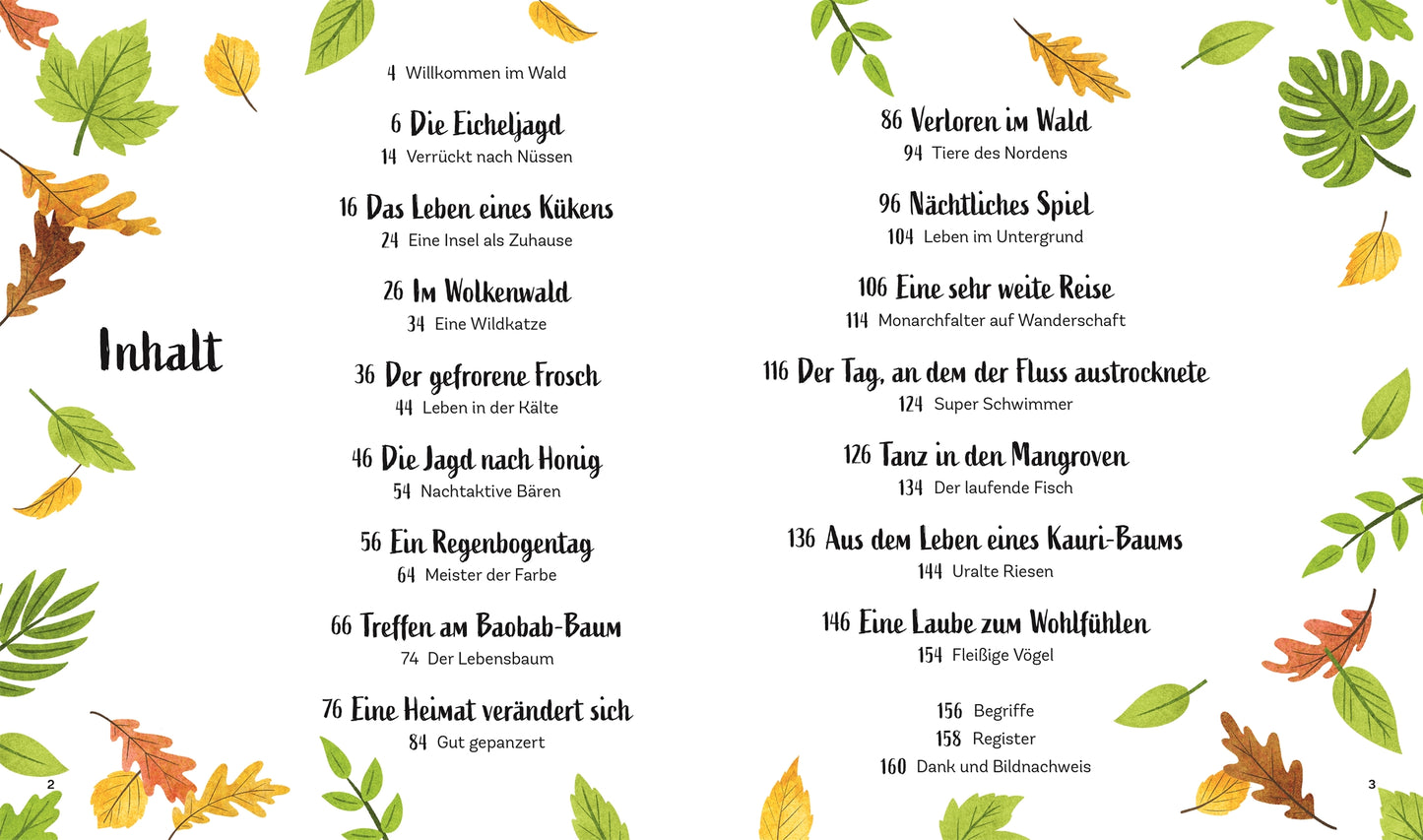Inhaltsverzeichnis für "Zauber des Waldes | Tiergeschichten ab 5 Jahren" vom DK Verlag, umgeben von bunten Blättern. Themen sind unter anderem Waldtiere Kinderbuch, Tiergeschichten für Kinder und Baumbegegnungen (Text auf Deutsch).