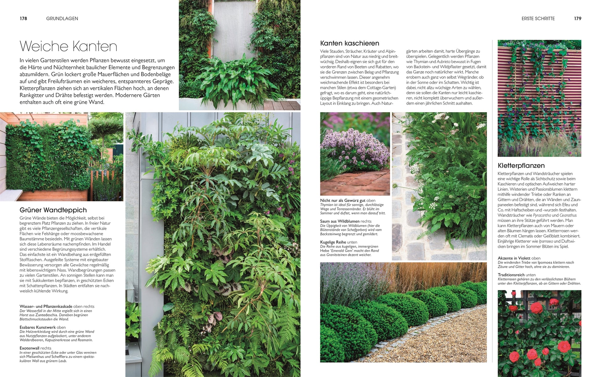 Eine Magazinstrecke zeigt üppige Wandpflanzen, vertikale Gärten und gepflegte Hecken. Der deutsche Text gibt Tipps zur Pflanzenauswahl und Gartengestaltung aus dem Buch "Gartendesign | Die große Enzyklopädie" des DK Verlags.