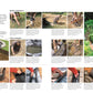 Mit dem DK Verlag Buch "Gartendesign | Die große Enzyklopädie" findest du einen deutschen Fotoguide zum Bau eines kleinen Gartenteichs - von der Aushebung über Folien-Einbau bis zum Wasserfall mit Steinen und Pflanzen.