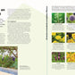 Entdecken Sie auf einer Doppelseite trockenheitsresistente Pflanzen und clevere Tipps für Trockenheit, wie Sie Echinops, Lavendel und Sedum in Ihrem Hochbeet einsetzen können. Aus "Alles im Hochbeet | Umfassendes Praxiswissen" vom DK Verlag.