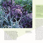 Blattkohl und Lauch wachsen in einem Hochbeet, hier in einem Garten. Die Seite zeigt Doris Kampas und ihr Fachwissen aus "Alles im Hochbeet | Umfassendes Praxiswissen" aus dem DK Verlag, mit deutschen Infos zum Wintergemüse.