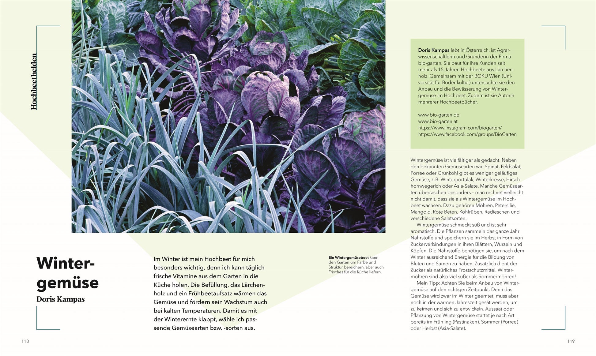 Blattkohl und Lauch wachsen in einem Hochbeet, hier in einem Garten. Die Seite zeigt Doris Kampas und ihr Fachwissen aus "Alles im Hochbeet | Umfassendes Praxiswissen" aus dem DK Verlag, mit deutschen Infos zum Wintergemüse.