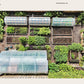 Luftaufnahme einer aufgeräumten Selbstversorgung aus dem Garten | Mehr als nur ein Trend (DK Verlag): Hochbeete, drei transparente Polytunnel-Gewächshäuser, gepflegte Wege, blühende Gemüseanbauflächen, alles umschlossen von einem Holzzaun.
