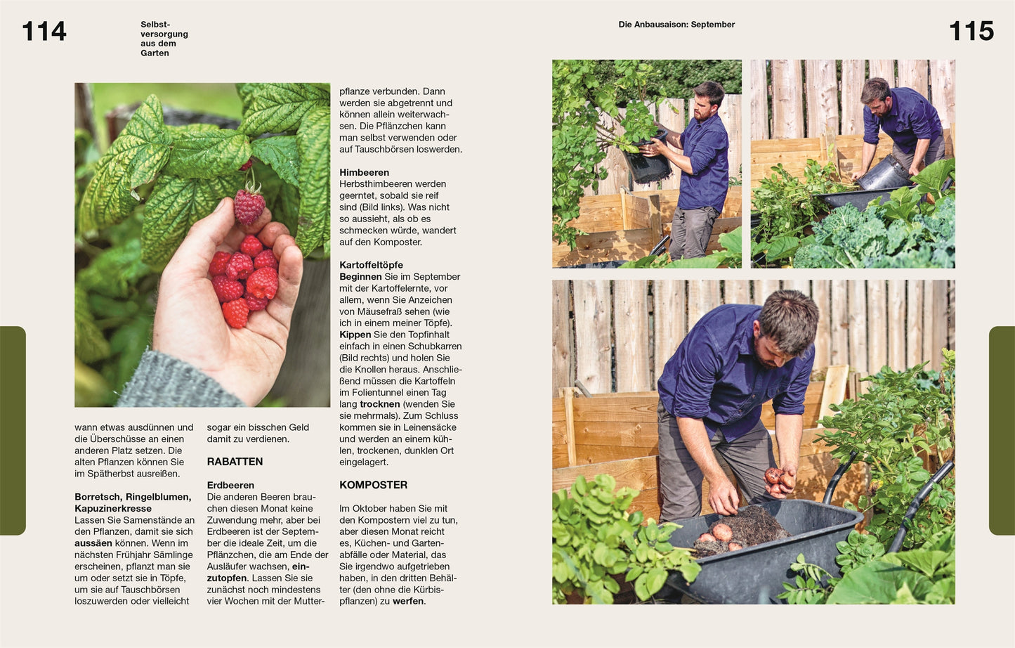 Eine Hand mit frischen Himbeeren und ein Mann, der Grünzeug, Kartoffeln und Grünkohl in Hochbeeten erntet, illustrieren das Buch "Selbstversorgung aus dem Garten | Mehr als nur ein Trend" aus dem DK Verlag, ein deutscher Ratgeber zur Selbstversorgung.