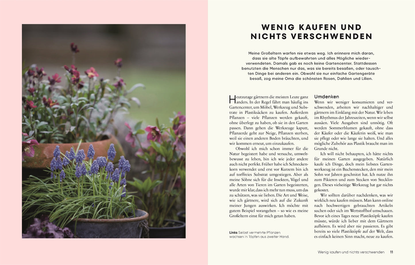 Auf der linken Seite ist ein Foto mit getopften Traubenhyazinthen und Primeln zu sehen, auf der anderen Seite ein deutscher Text über nachhaltiges Gärtnern und weniger Einkaufen aus dem Buch "Gärtnern für wenig Geld | Ressourcenschonend zum grünen Paradies" des DK Verlags auf einem zartrosa und weißen Aufstrich.