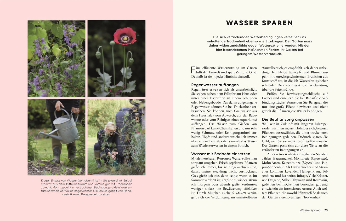 Eine Collage für "Gärtnern für wenig Geld | Ressourcenschonend zum grünen Paradies" von DK Verlag: Szenen zu nachhaltigem Gärtnern mit deutschem Infotext zu Wassersparen-von Pflanzen gießen bis zur Ernte und Regenwassernutzung.