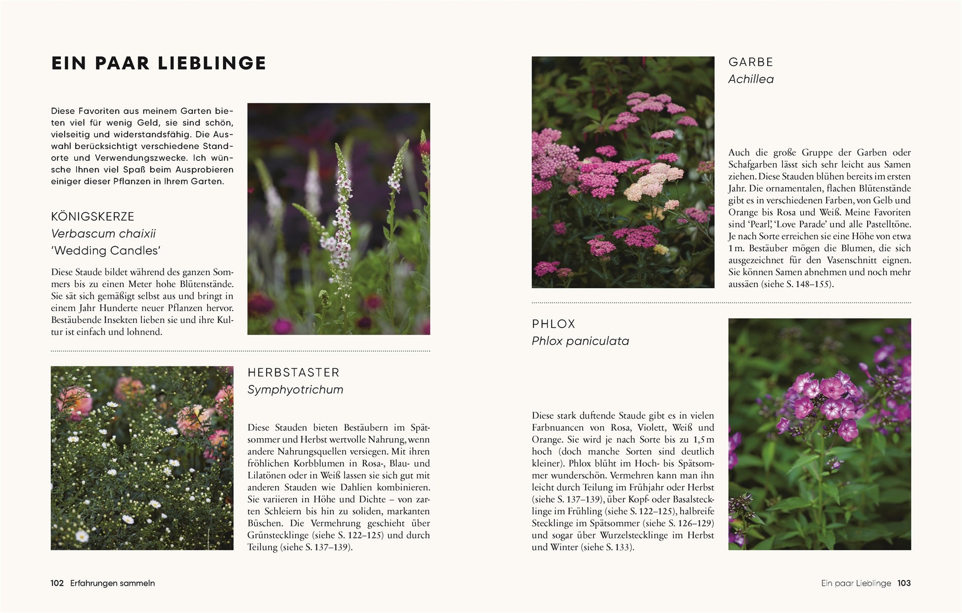 Ein deutsches Magazin zeigt vier beschriftete Blumenfotos mit Pflegetipps, inspiriert von "Gärtnern für wenig Geld | Ressourcenschonend zum grünen Paradies" aus dem DK Verlag - perfekt für nachhaltiges Gärtnern und preiswerte Gartengestaltung.
