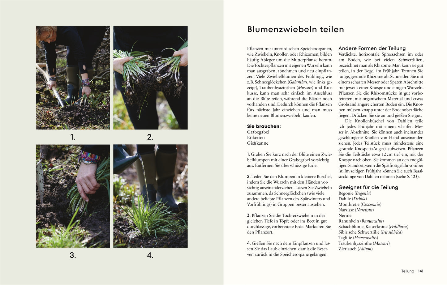 Gärtnern für wenig Geld" von DK Verlag - das Gartenbuch mit Tipps und Bildern zum nachhaltigen, ressourcenschonenden Gärtnern für ein grünes Paradies.