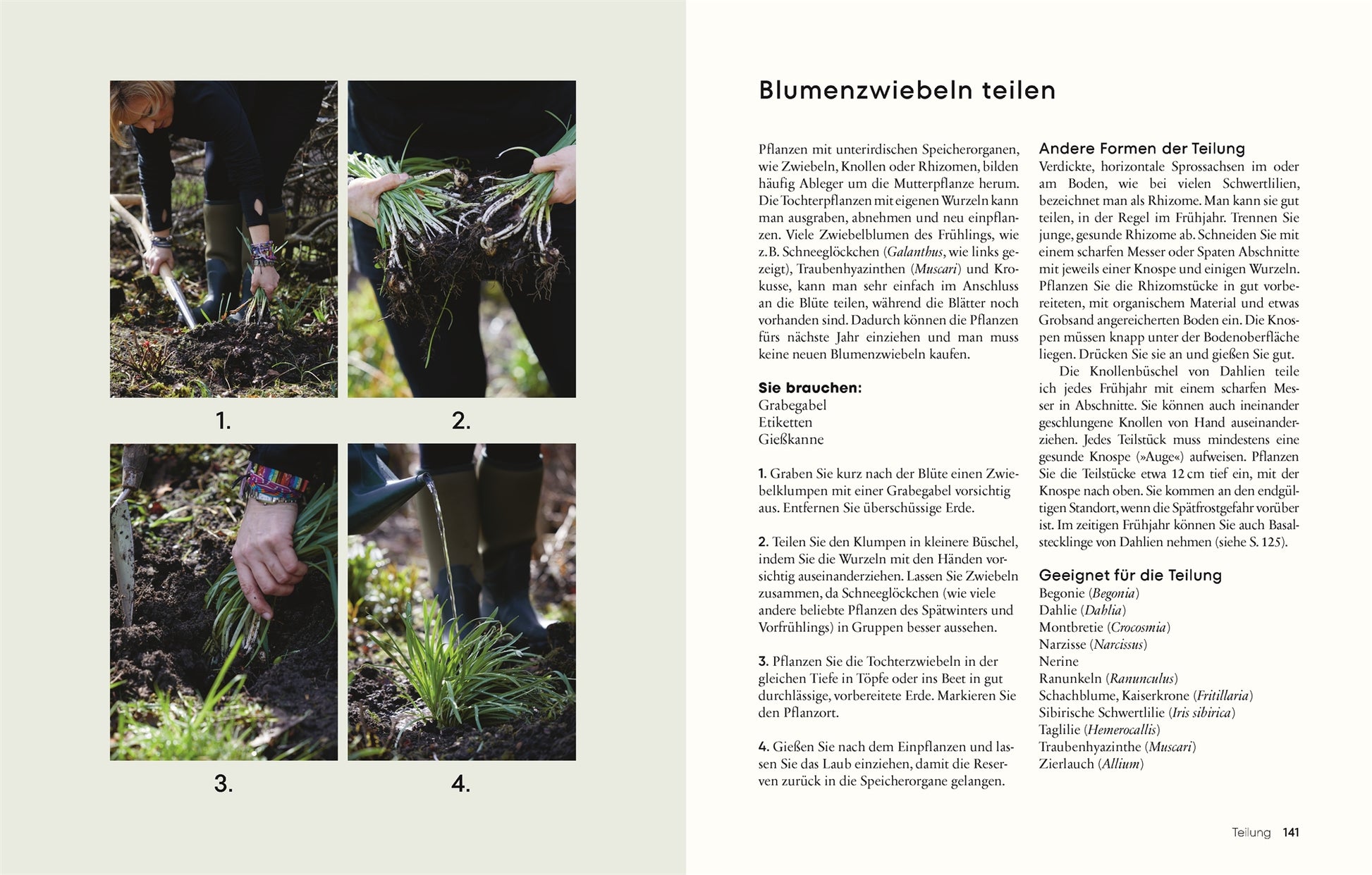Gärtnern für wenig Geld" von DK Verlag - das Gartenbuch mit Tipps und Bildern zum nachhaltigen, ressourcenschonenden Gärtnern für ein grünes Paradies.