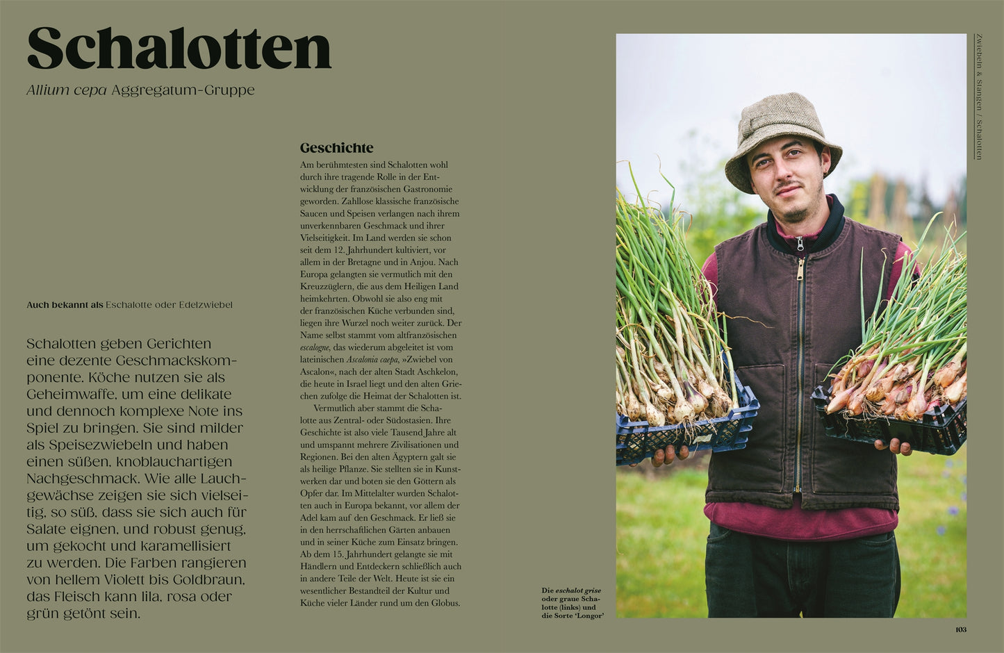 Ein Mann mit Hut und kastanienbrauner Weste hält im Freien zwei Schalen mit Schalotten. Die gegenüberliegende Seite aus "Auf der Jagd nach alten Sorten" vom DK Verlag enthält einen deutschen Text über Schalotten und ihre kulinarische Verwendung.