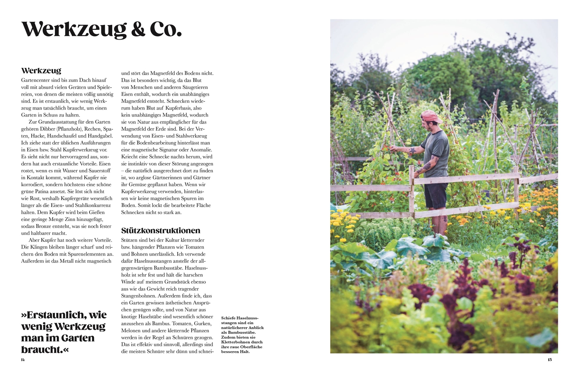 Eine Person mit Hut und Gartengeräten steht an einem Zaun in einem üppigen Garten von alten Gemüsesorten. Ein Schuppen ist zu sehen. Die Seite enthält einen deutschen Text aus dem Buch "Auf der Jagd nach alten Sorten" des DK Verlags über Gemüseanbau und alte Gemüsesorten.