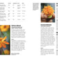 Ein Magazin des DK Verlags für "Auf der Jagd nach alten Sorten" zeigt orange und gelbe Blumen, eine Tabelle und Infos zu Schlafmohn & Blaue Klitorie. Der deutsche Text bietet einen Pflanzenführer, Gemüseanbau-Tipps und Infos zu alten Gemüsesorten.