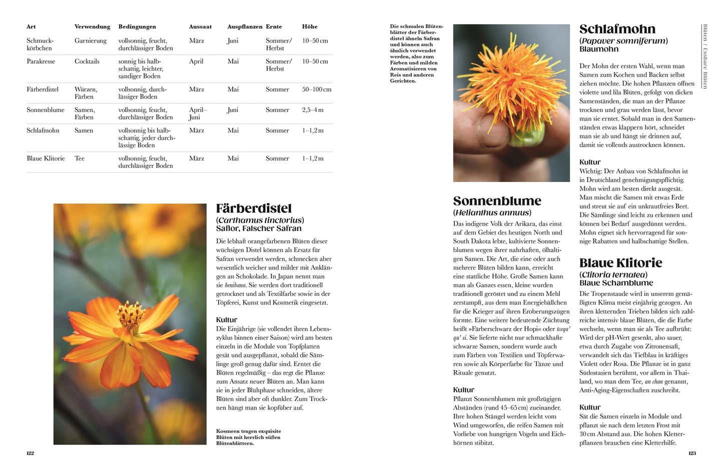 Ein Magazin des DK Verlags für "Auf der Jagd nach alten Sorten" zeigt orange und gelbe Blumen, eine Tabelle und Infos zu Schlafmohn & Blaue Klitorie. Der deutsche Text bietet einen Pflanzenführer, Gemüseanbau-Tipps und Infos zu alten Gemüsesorten.