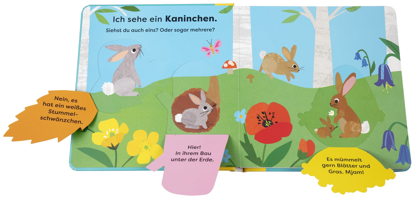 Das im DK Verlag erschienene Buch "Da! Ein Fuchs | Natur-Entdeckerbuch ab 18 Monaten" bietet farbenfrohe Naturszenen mit illustrierten Tieren, Sprechblasen mit Fragen und Fakten sowie Überraschungen zum Aufklappen, die versteckte Tiere und weitere Informationen offenbaren.