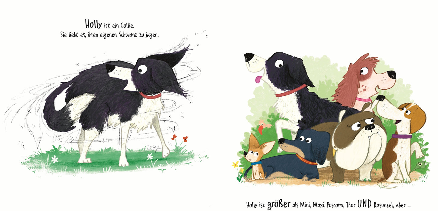Links schüttelt ein schwarz-weißer Collie das Wasser ab, rechts sitzt der Collie mit sechs anderen Hunden. Ideal für das Bilderbuch "Wau, wau, WAU! Wer ist der größte Hund" von DK Verlag für Kinder ab 3 Jahren. Deutscher Text oben und unten.