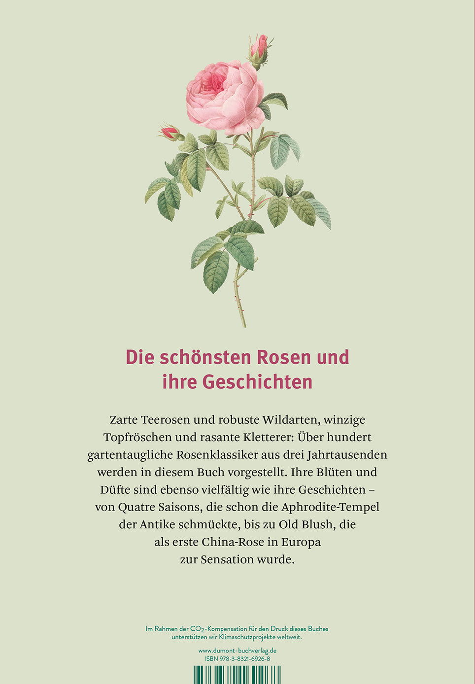 Eine botanische Illustration einer rosafarbenen Rose mit grünen Blättern ziert den hellgrünen Einband des Buches "Historische Rosen | fünfzig Rosensorten mit prachtvollen historischen Illustrationen" aus dem Dumont Verlag, mit deutschem Text über historische und alte Rosensorten.