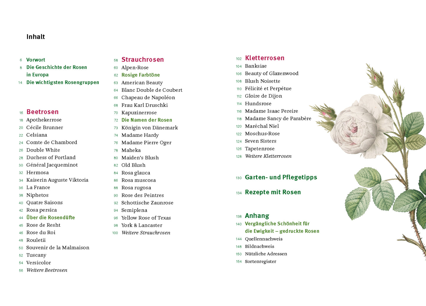 Inhaltsverzeichnis von "Historische Rosen | fünfzig Rosensorten mit prachtvollen historischen Illustrationen" aus dem Dumont Verlag, mit Kapiteln über alte Rosen, Pflege, Kletterrosen & mehr. Illustrierte weiße Rose mit grünen Blättern ziert die rechte Seite.